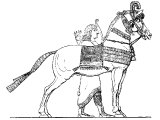Assyrian cavalry horse